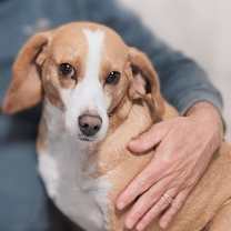 Thumbnail photo of Rita #2