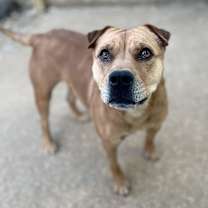 Thumbnail photo of Molly #2