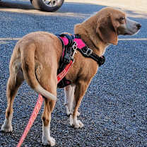 Thumbnail photo of Rita #4