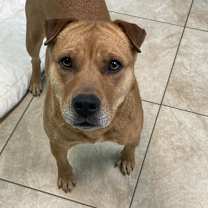 Thumbnail photo of Molly #4