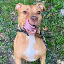 Thumbnail photo of Vegas #1