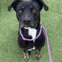 Thumbnail photo of Beauty #2