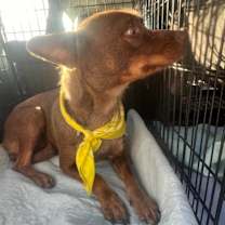 Thumbnail photo of Carmela #2