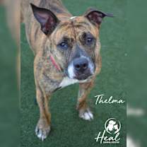 Thumbnail photo of Thelma #1