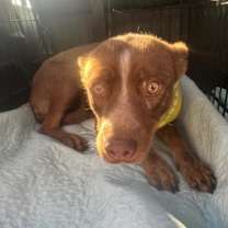 Thumbnail photo of Carmela #3