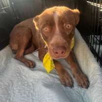 Thumbnail photo of Carmela #4