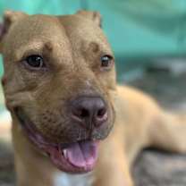 Thumbnail photo of Vegas #2