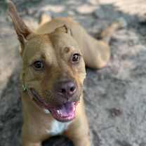 Thumbnail photo of Vegas #3