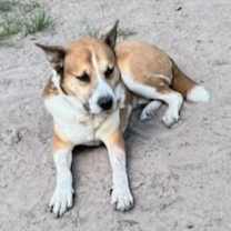Thumbnail photo of Thunder #3