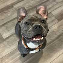Thumbnail photo of Peggy #2