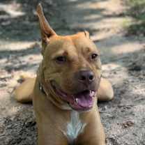 Thumbnail photo of Vegas #4