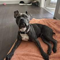 Thumbnail photo of Peggy #3
