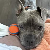 Thumbnail photo of Peggy #4