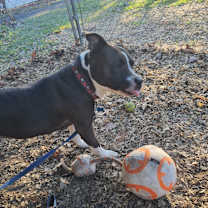 Thumbnail photo of Savina #2