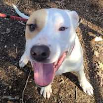 Thumbnail photo of Yang #3