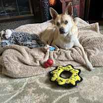 Thumbnail photo of Holiday (AKA Doc) #2