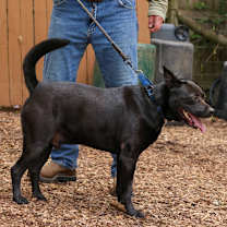 Thumbnail photo of Ritchie #4