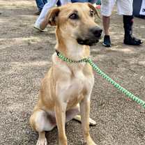 Thumbnail photo of Fred #2