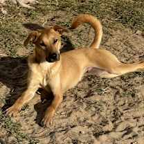 Thumbnail photo of Fred #3