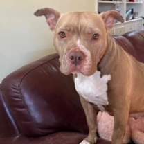 Thumbnail photo of Sasha #2