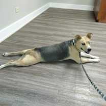 Thumbnail photo of Leona #2