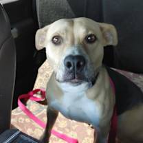 Thumbnail photo of Leona #3