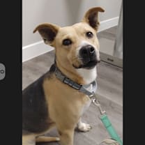 Thumbnail photo of Leona #1