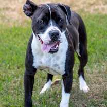 Thumbnail photo of Fleur #3