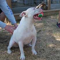 Thumbnail photo of Max Cooper #3