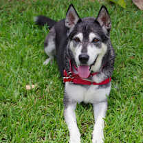 Thumbnail photo of Blake #3