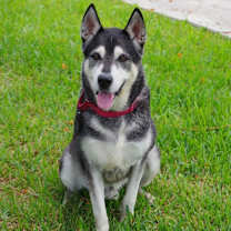 Thumbnail photo of Blake #4