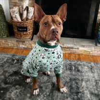 Thumbnail photo of Griffin #2