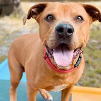 Thumbnail photo of Chase #1