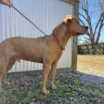 Thumbnail photo of Chase #2