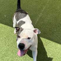 Thumbnail photo of Tonya #3
