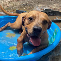 Thumbnail photo of Chase #3