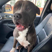 Thumbnail photo of Junious  #2