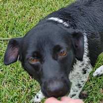 Thumbnail photo of Mary Ann #1