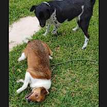 Thumbnail photo of Mary Ann #4