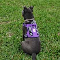 Thumbnail photo of Candy #4