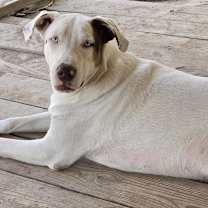 Thumbnail photo of Heath #2