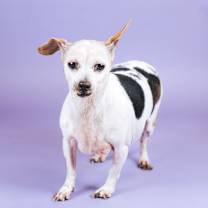 Thumbnail photo of Kya #1