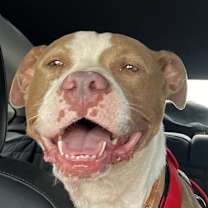 Thumbnail photo of Quinn #4