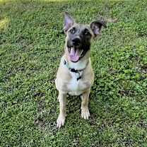 Thumbnail photo of Tucker #1