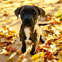 Thumbnail photo of Malcolm #2