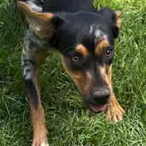 Thumbnail photo of Maryann #1