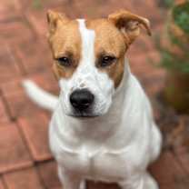 Thumbnail photo of Lady #1