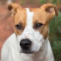 Thumbnail photo of Lady #2