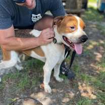 Thumbnail photo of DIESEL #4