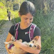 Thumbnail photo of JET (LOCAL) sf #3